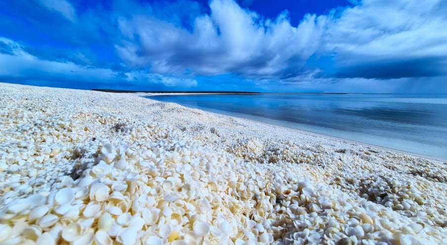 Shell Beach, Australia